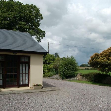 Apartament Inisfail Killarney Zewnętrze zdjęcie